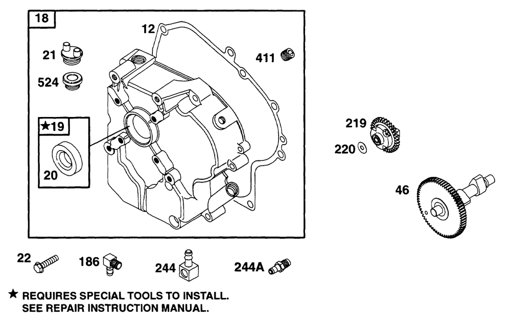 Crankcase Cover Cam Diagram and Parts List for 195431-2234-XX  Briggs and Stratton Engine